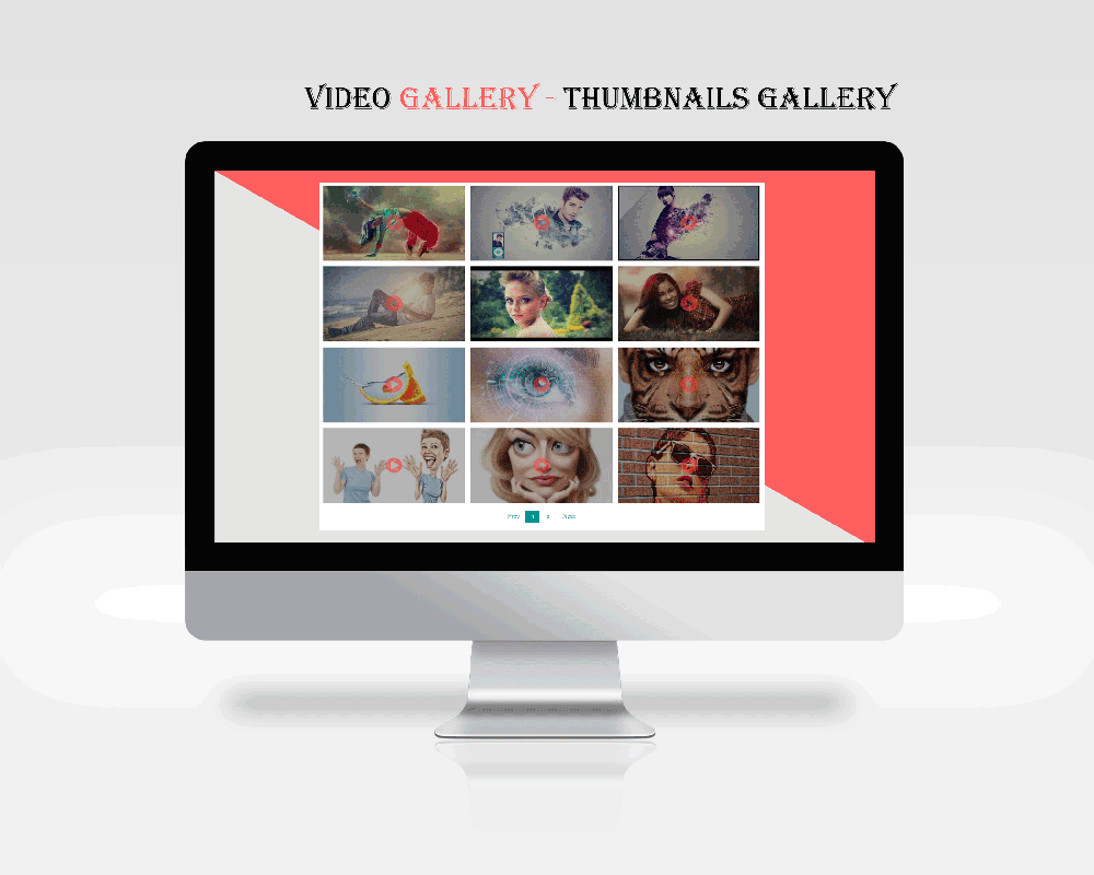 Video Gallery