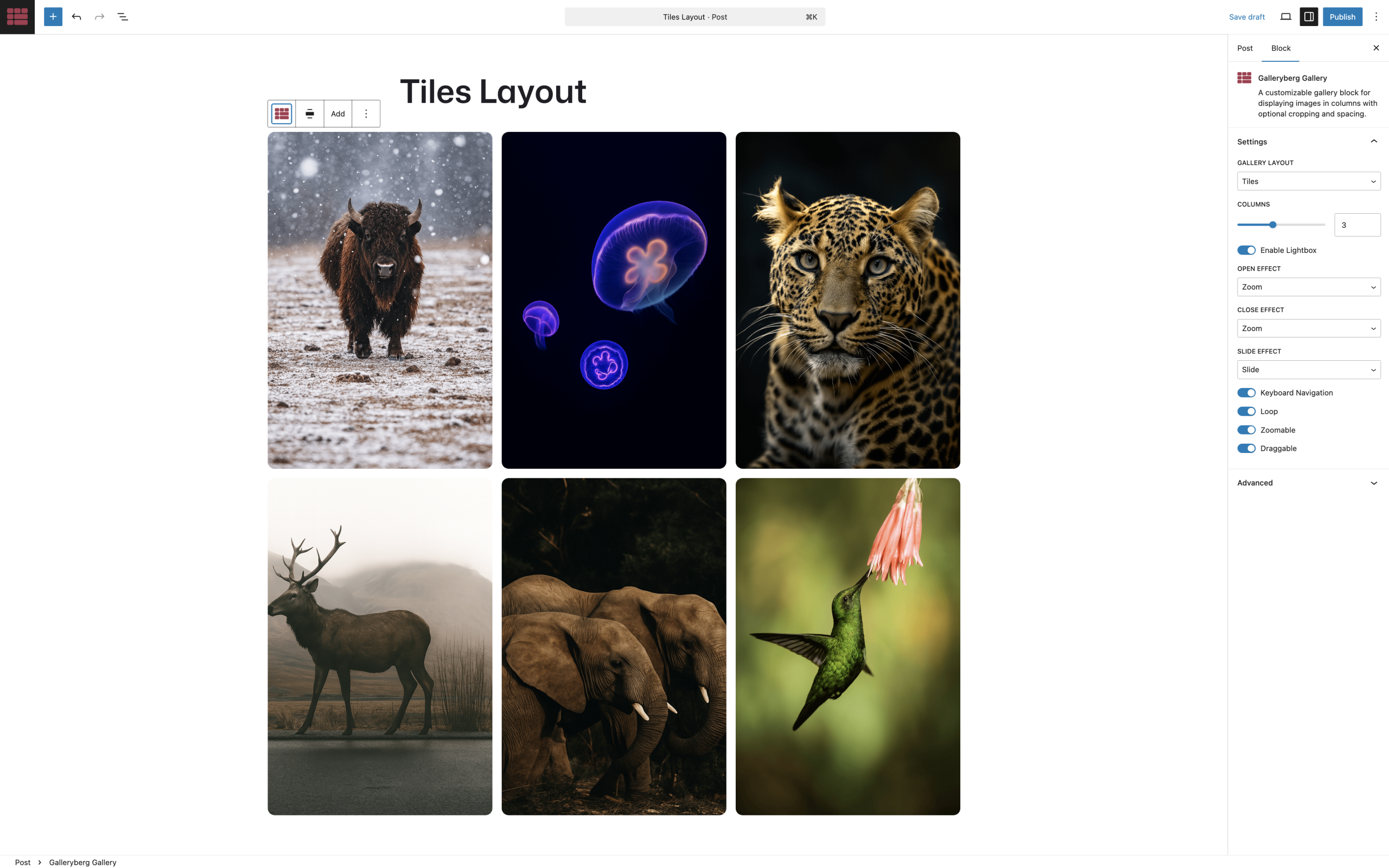 Gallery block in the editor showing layout options and settings