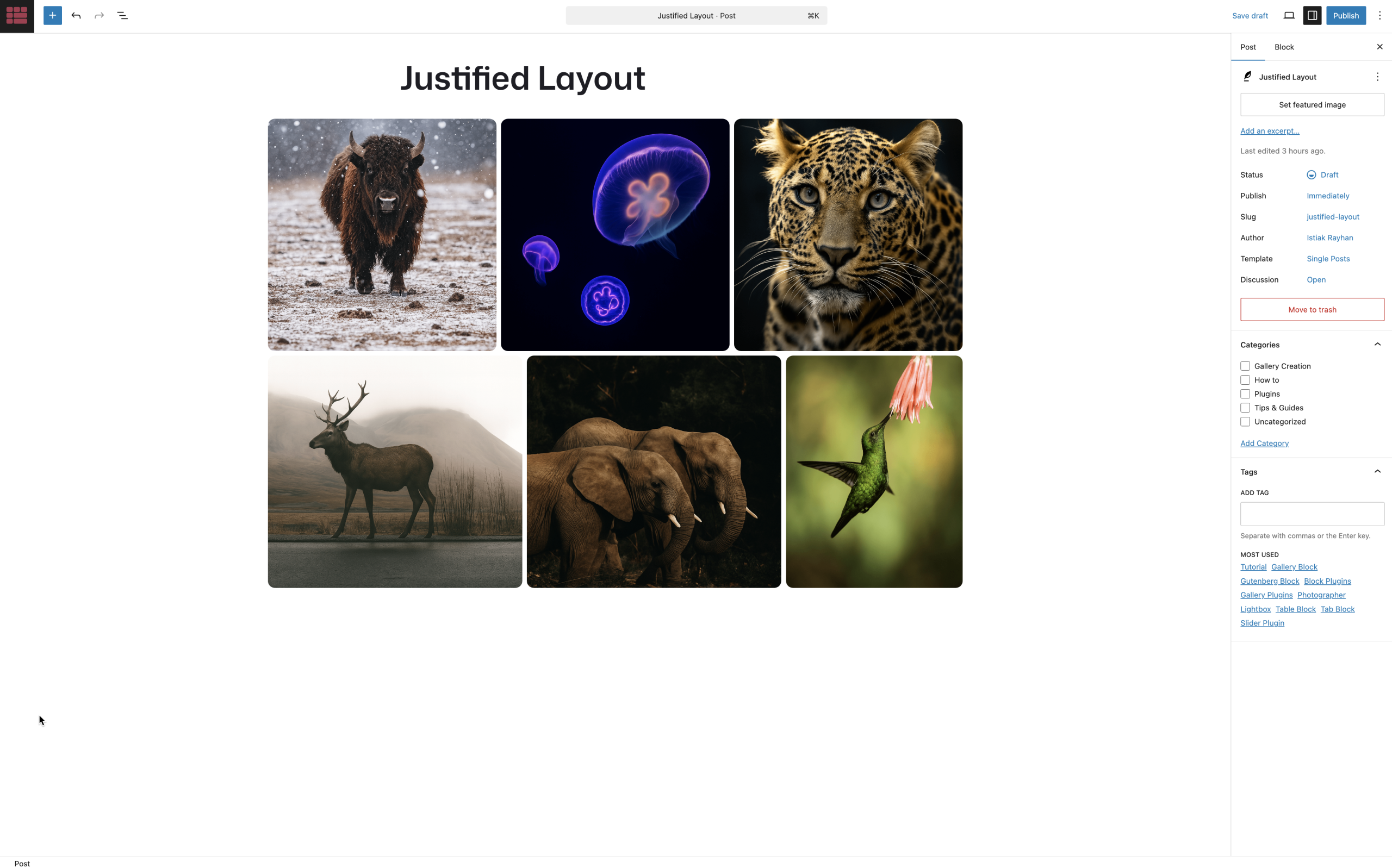 Masonry layout showcasing irregular image sizes