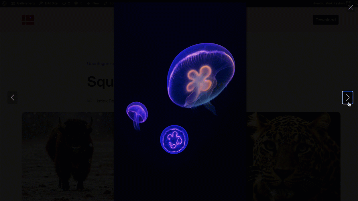 Lightbox view with navigation controls