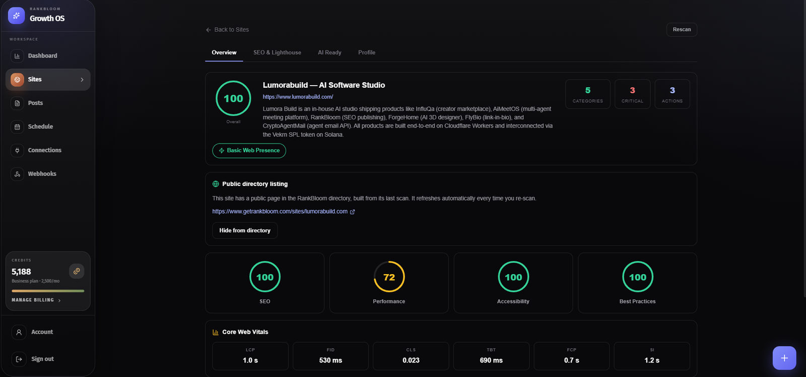 Audit results: SEO, performance, accessibility and best-practice scores with Core Web Vitals.