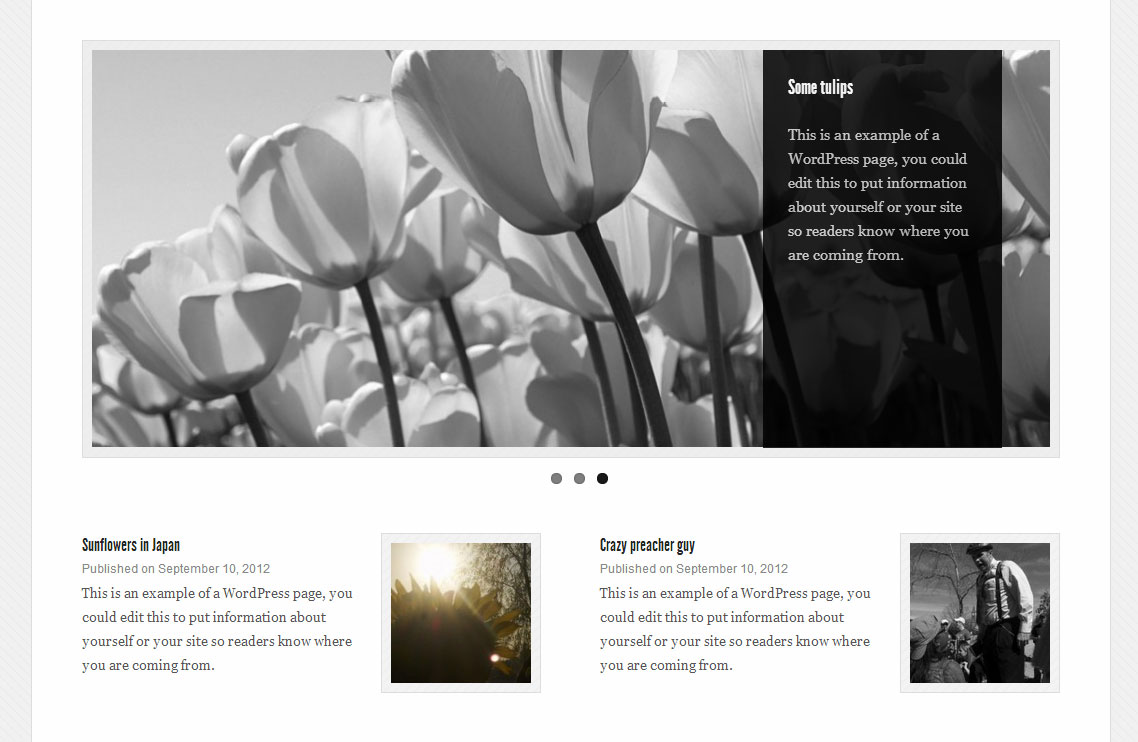Slider plus thumbnails.