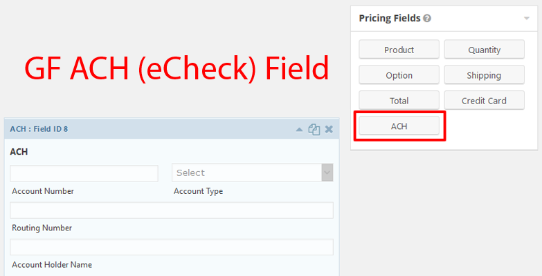 Gravity Forms ACH Field Type - Screenshot 1