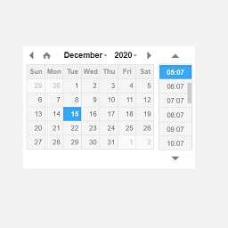 Date Time Field Add-On for Gravity Form