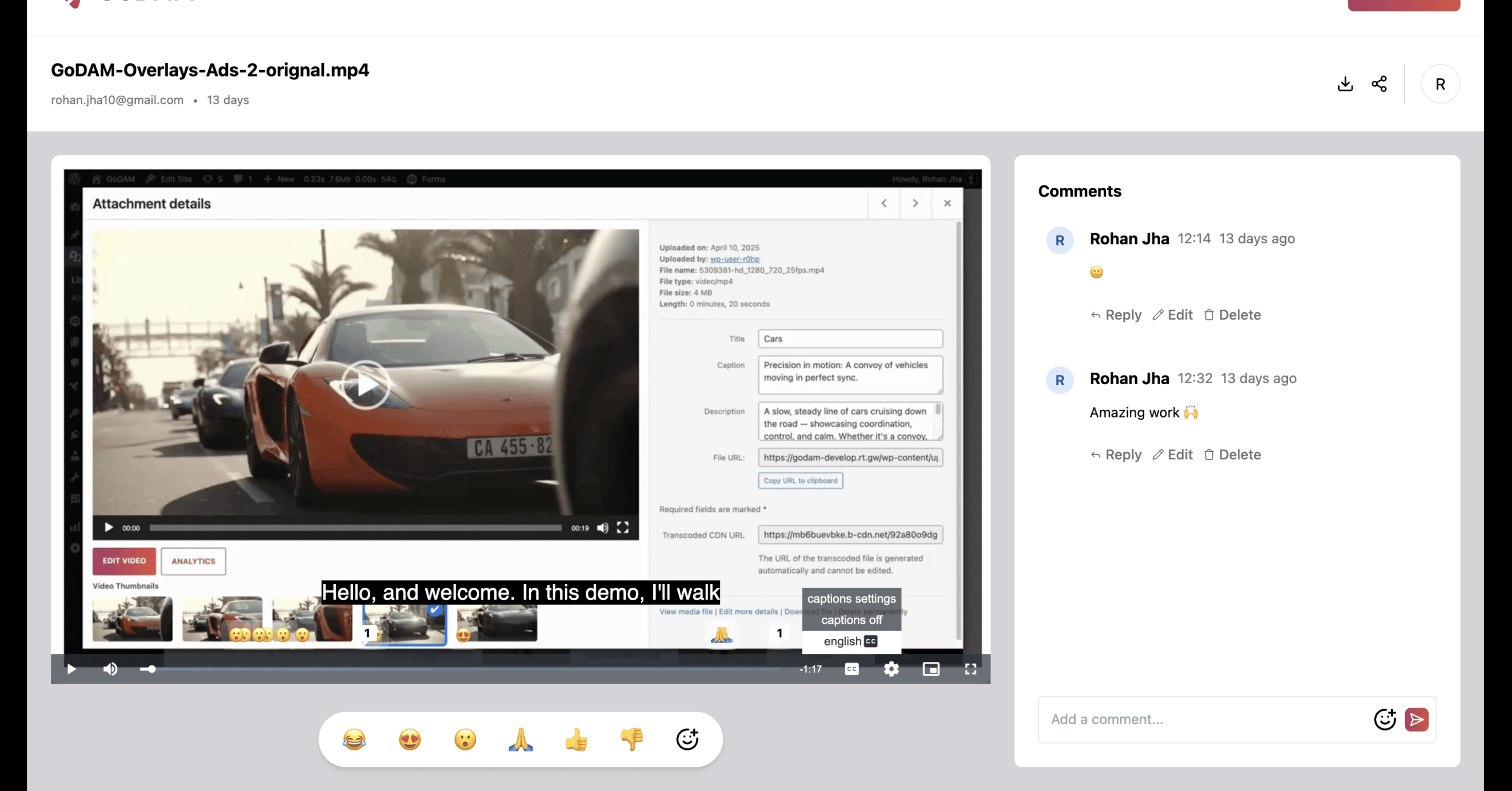 Automatic Video Transcription