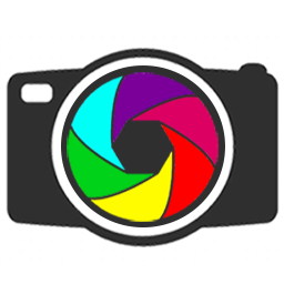 Go WebP logo