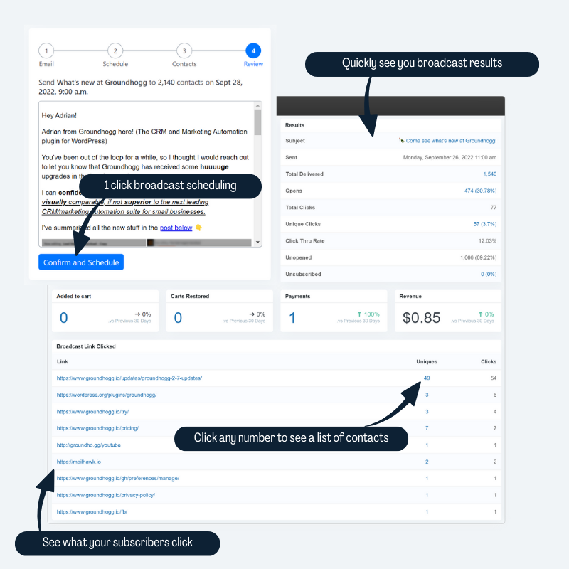 Send out mass emails to your list and view details reports of your subscribers' engagement.