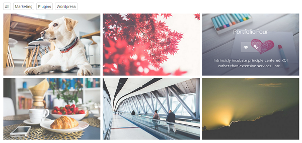 GS Portfolio output on pages/post after adding shortcode [gs_portfolio hover_effect=