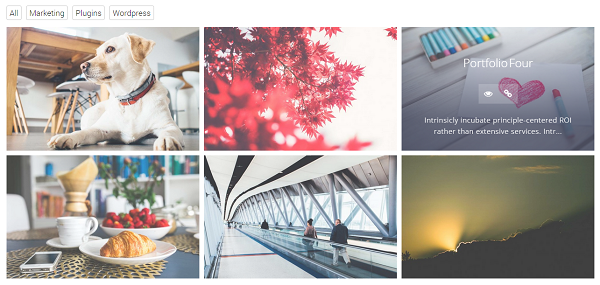 WordPress Portfolio Plugin &#8211; A Plugin for Making Filterable Portfolio Grid, Portfolio Slider and more