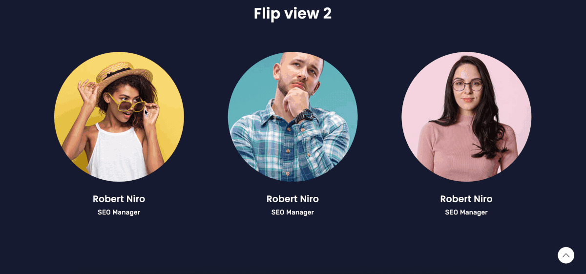 Flip &amp; Panel Style. Check the demo for more Flip designs.