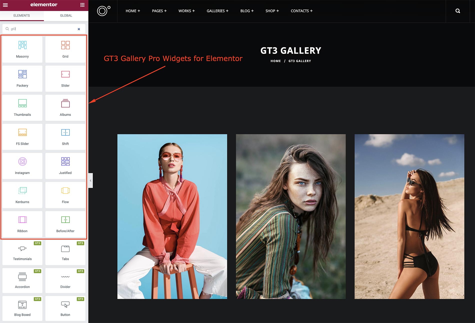 Plugin preview on frontend
