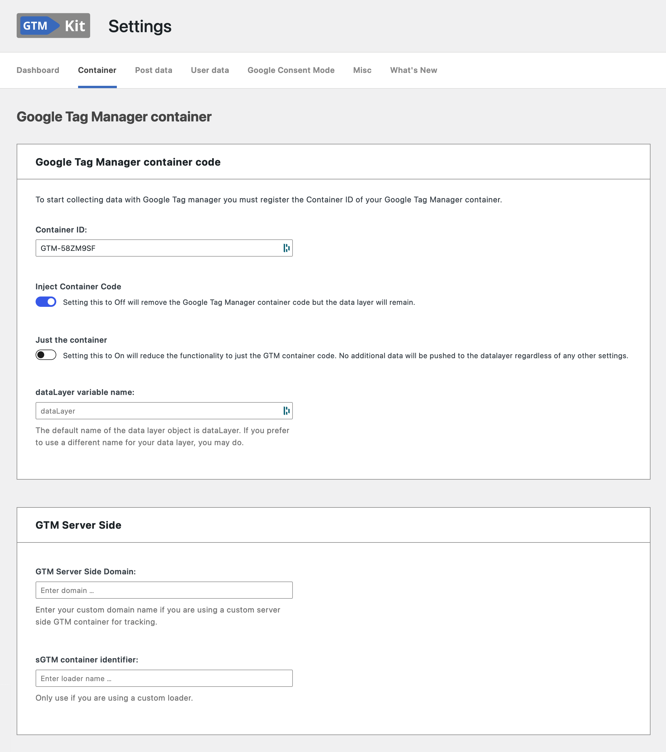 Google Tag Manager container code and server side GTM