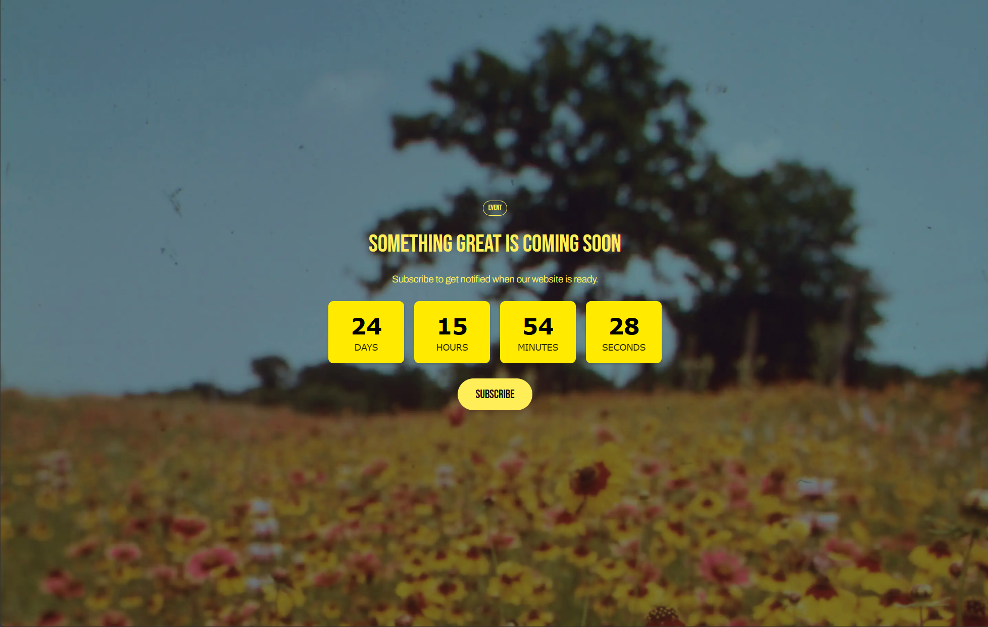 Example: Countdown timer on front-end (boxed preset)