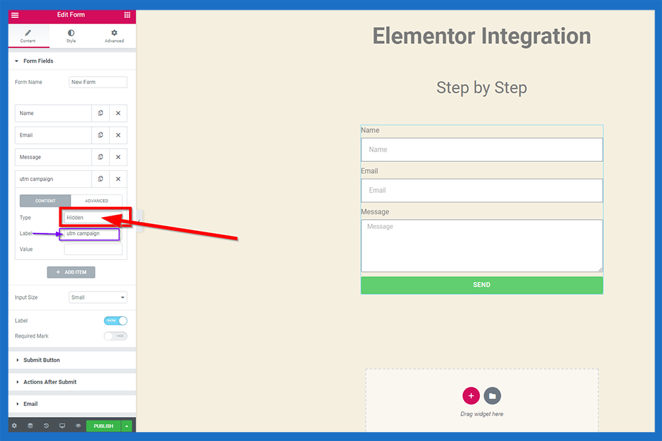 Elementor — add a hidden UTM campaign form field