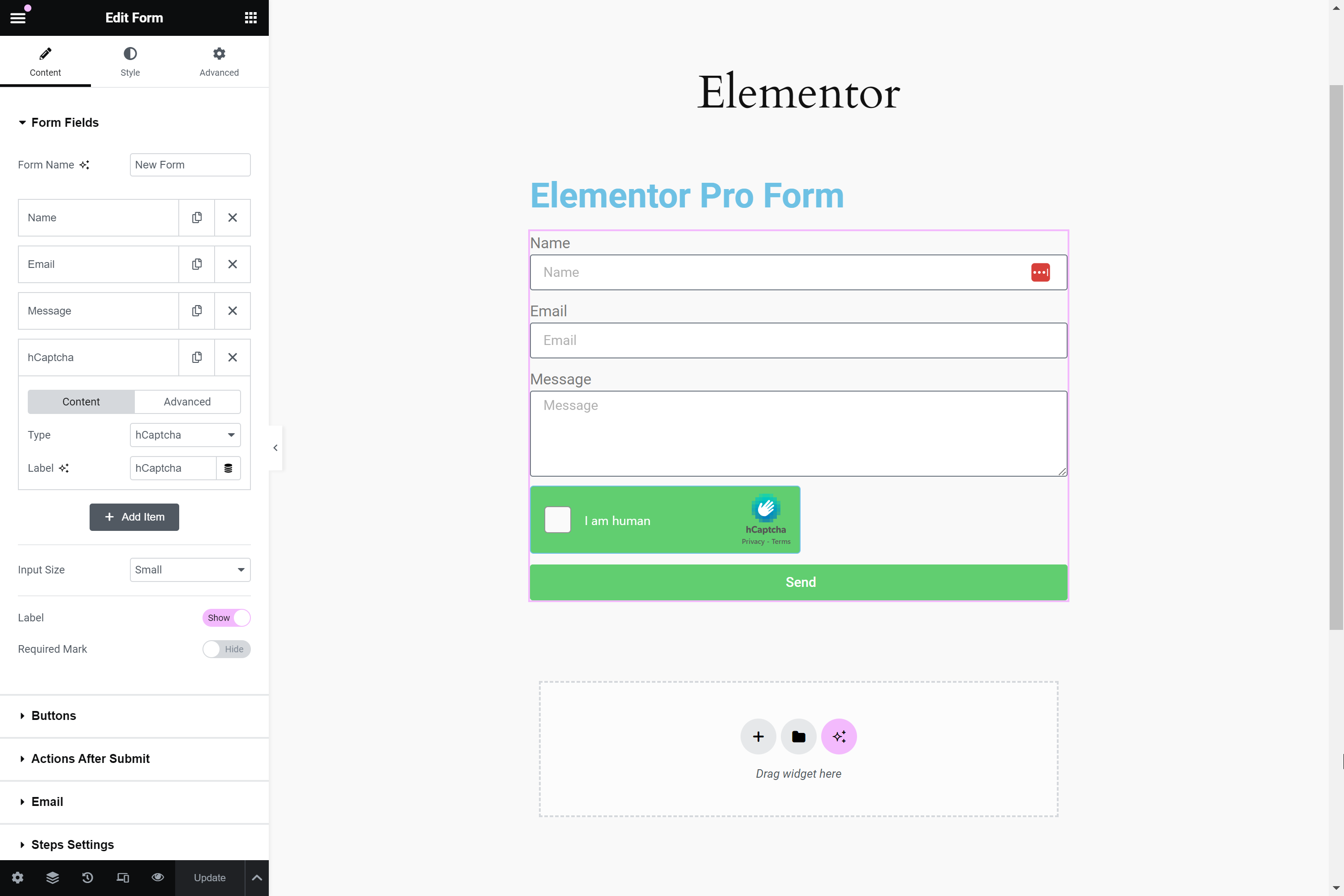 Elementor Pro Form in admin editor.