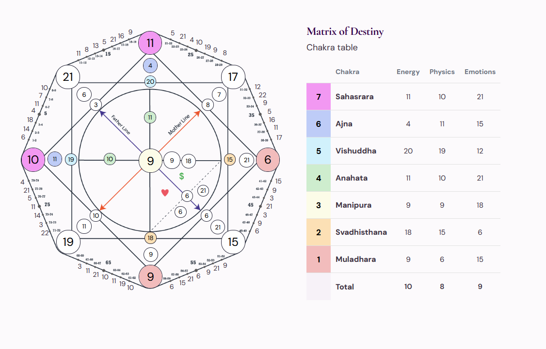 Matrix Destiny settings in the WordPress administration area.