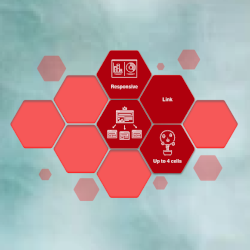 hexagon-navigation-lite