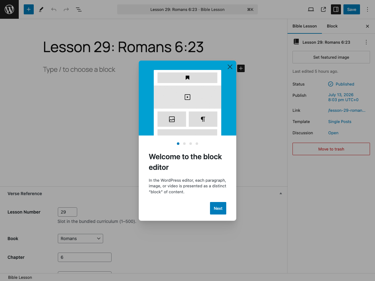 Plugin settings — schedule mode and translation switcher