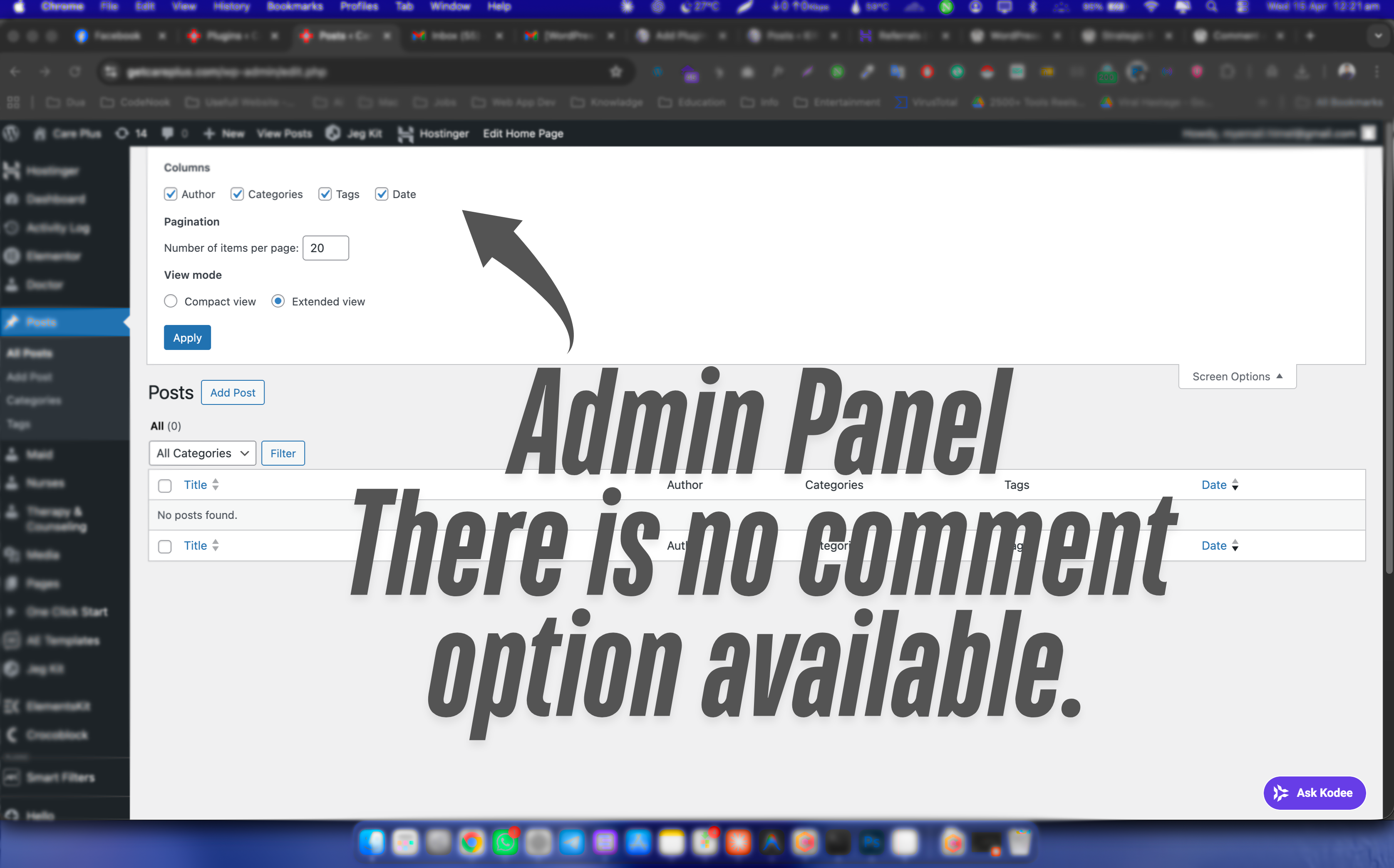 No comment box on posts/pages
