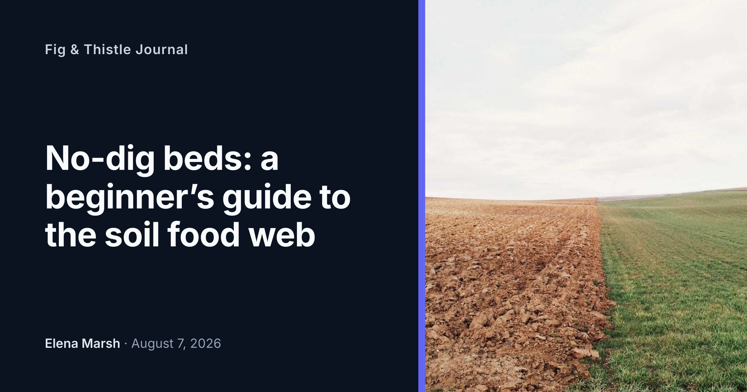 The Split design with a featured image.