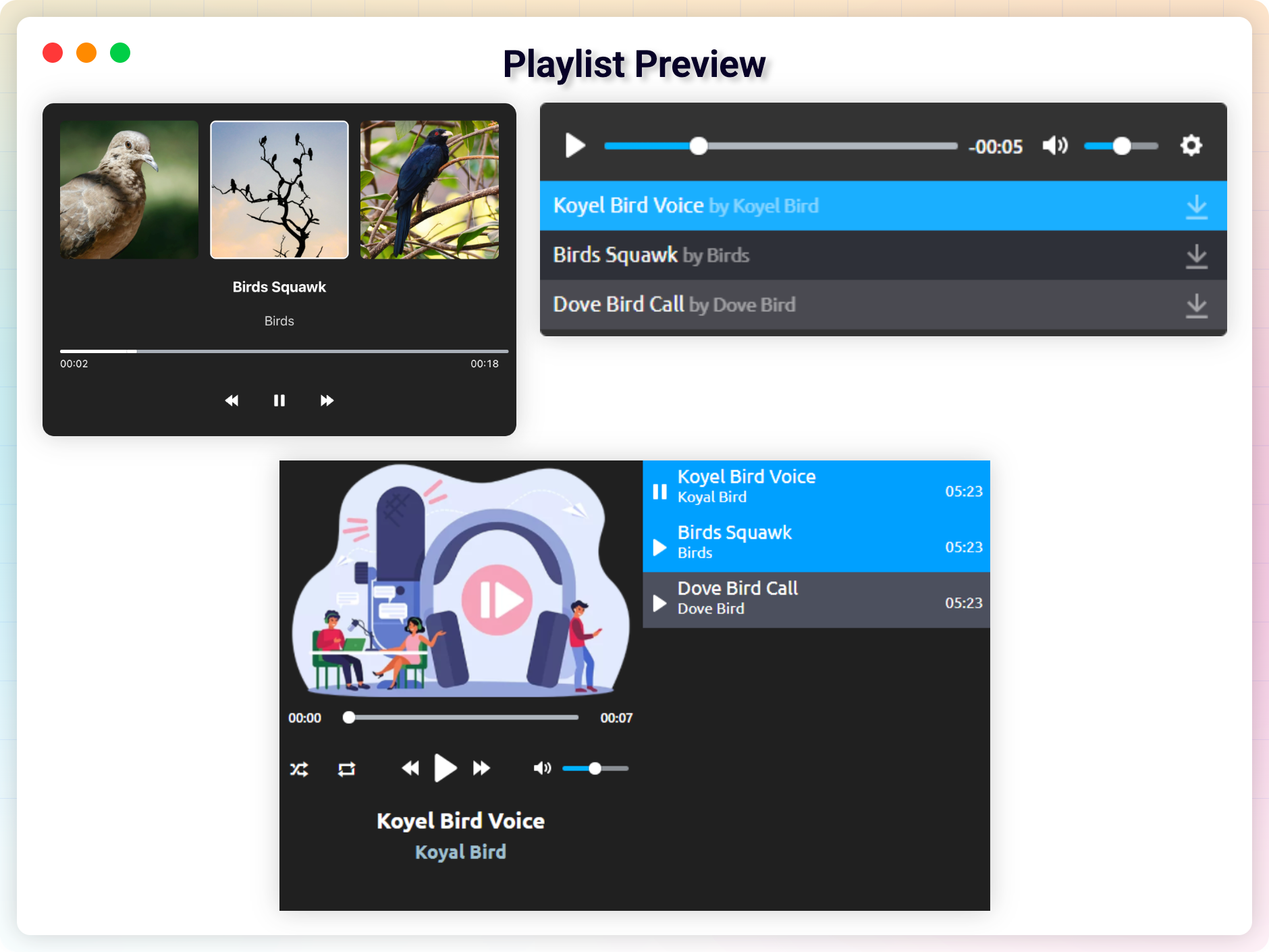 Playlist Preview