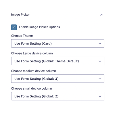 Add radio/checkbox field on gravity form and enable image choice option with click checkbox