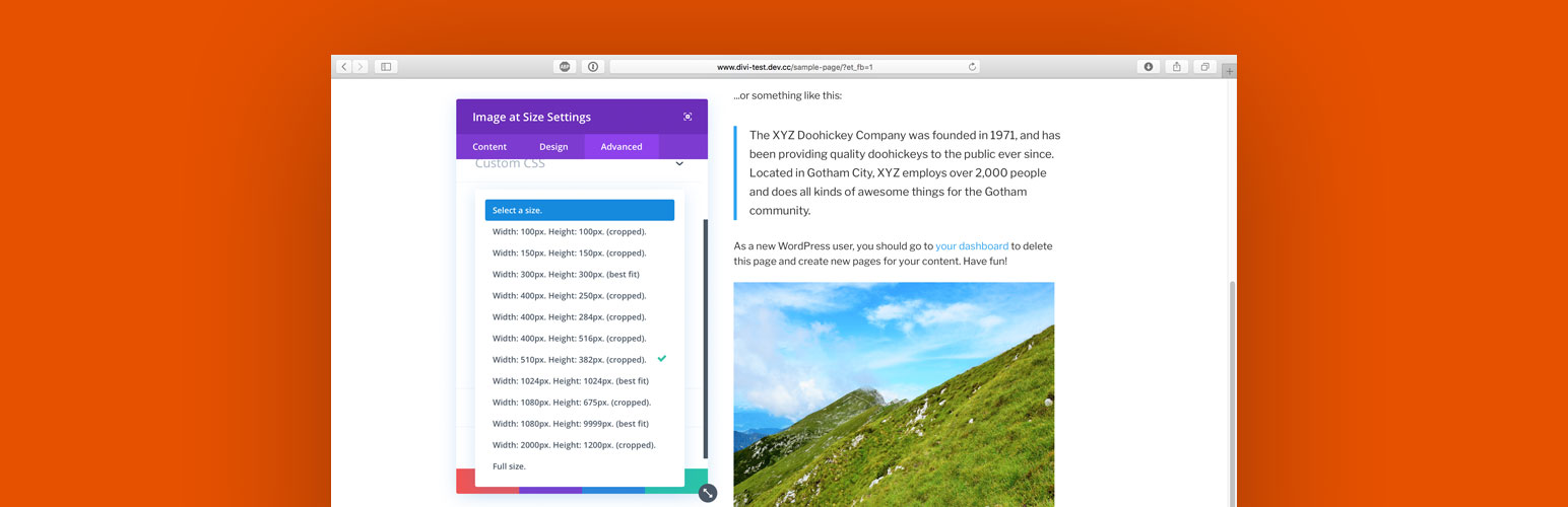 Image Size Selection for Divi
