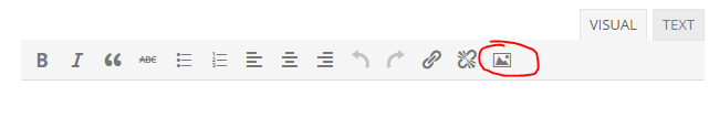 The Image toolbar icon in the TinyMCE editor for forum topics and replies.