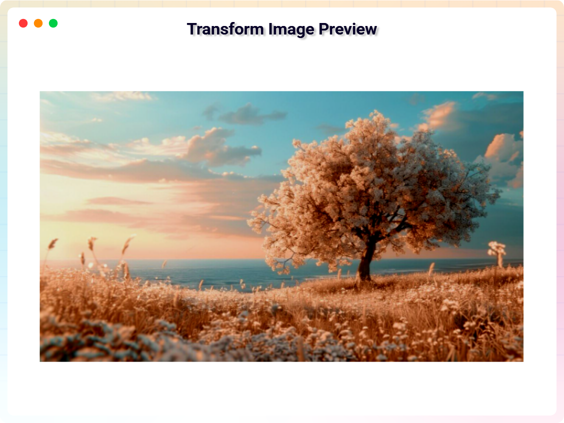 Transform Image Preview