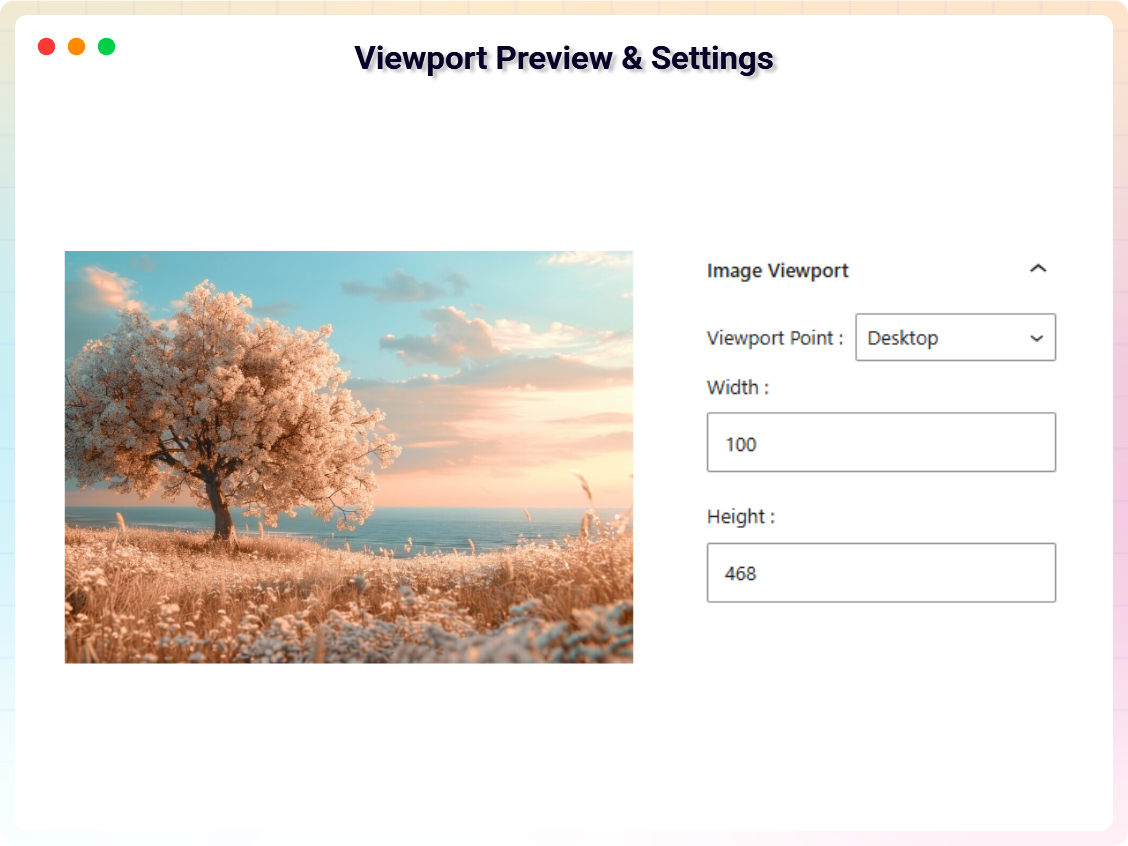 Viewport Preview & Settings