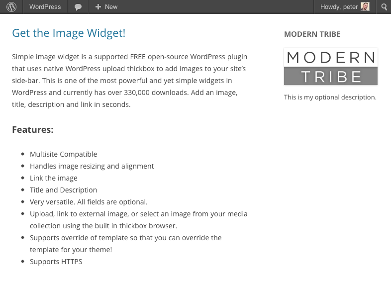 Image Widget on the front of a plain WordPress install.