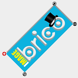 iMage Brico logo