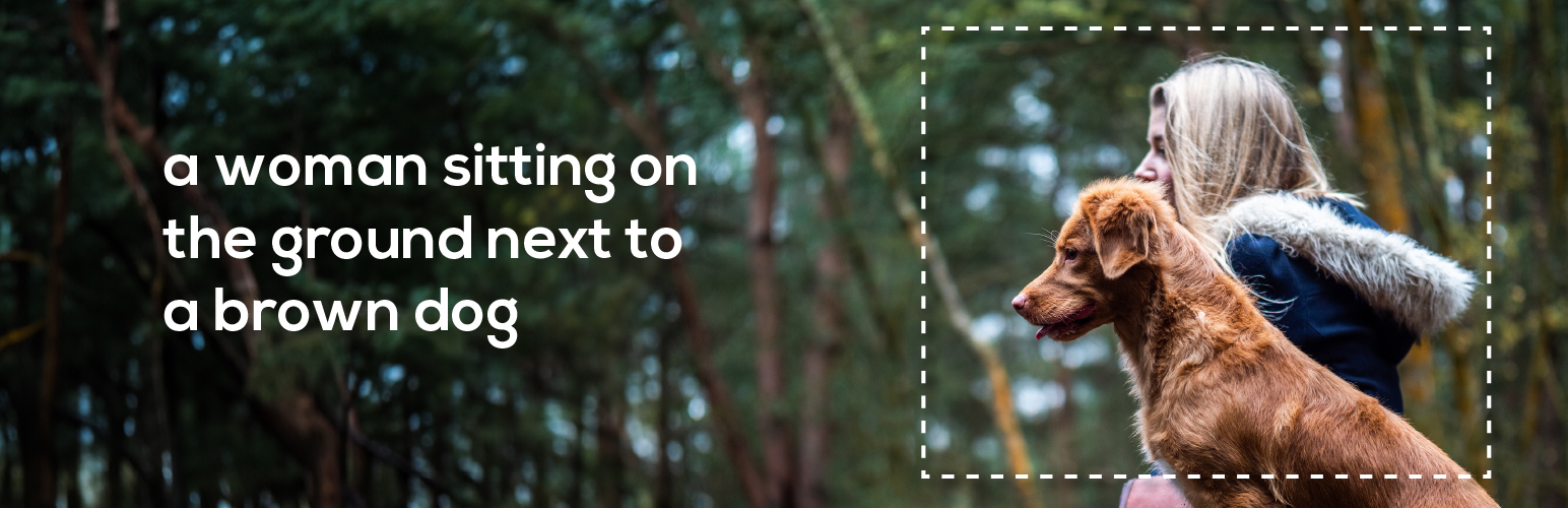 ImageComply – Alt Text Generator