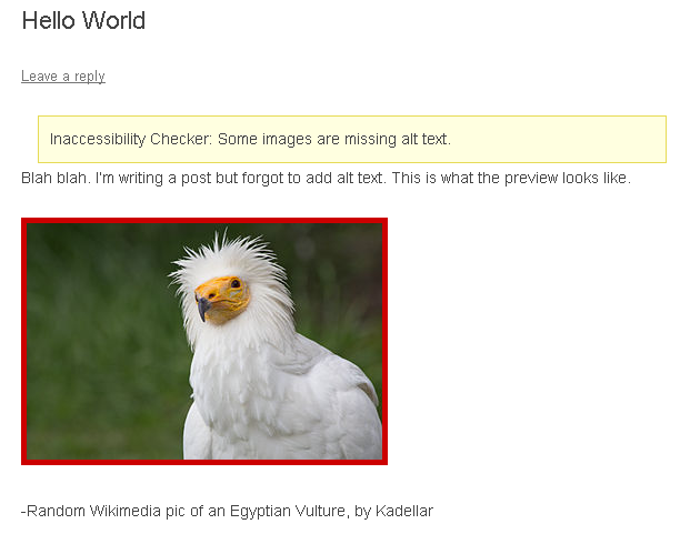 What a previewed post looks like.