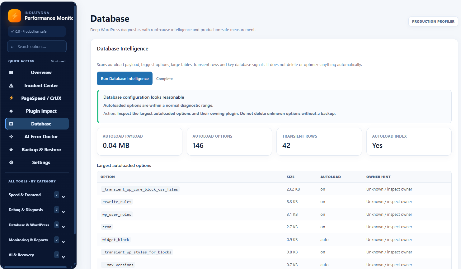 Database Intelligence for autoloaded options, transient rows, and database configuration signals.