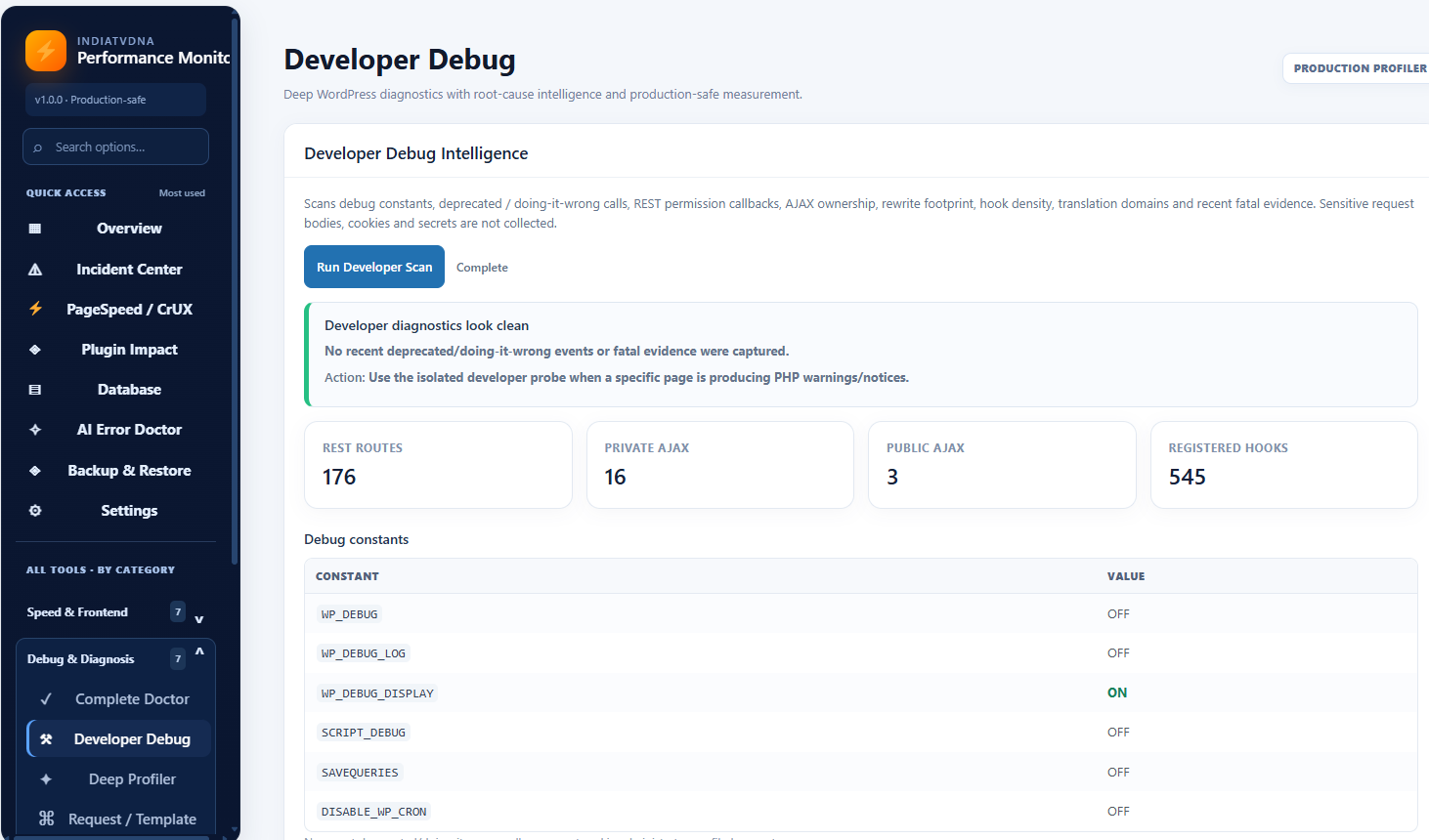 Developer Debug checks for WordPress hooks, REST and AJAX endpoints, and debugging configuration.