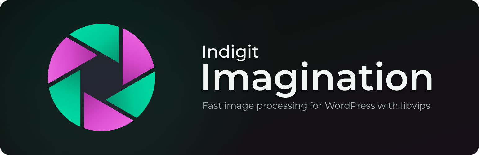 Indigit Imagination