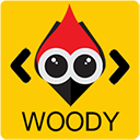 Woody code snippets &#8211; Insert Header Footer Code, AdSense Ads Icon