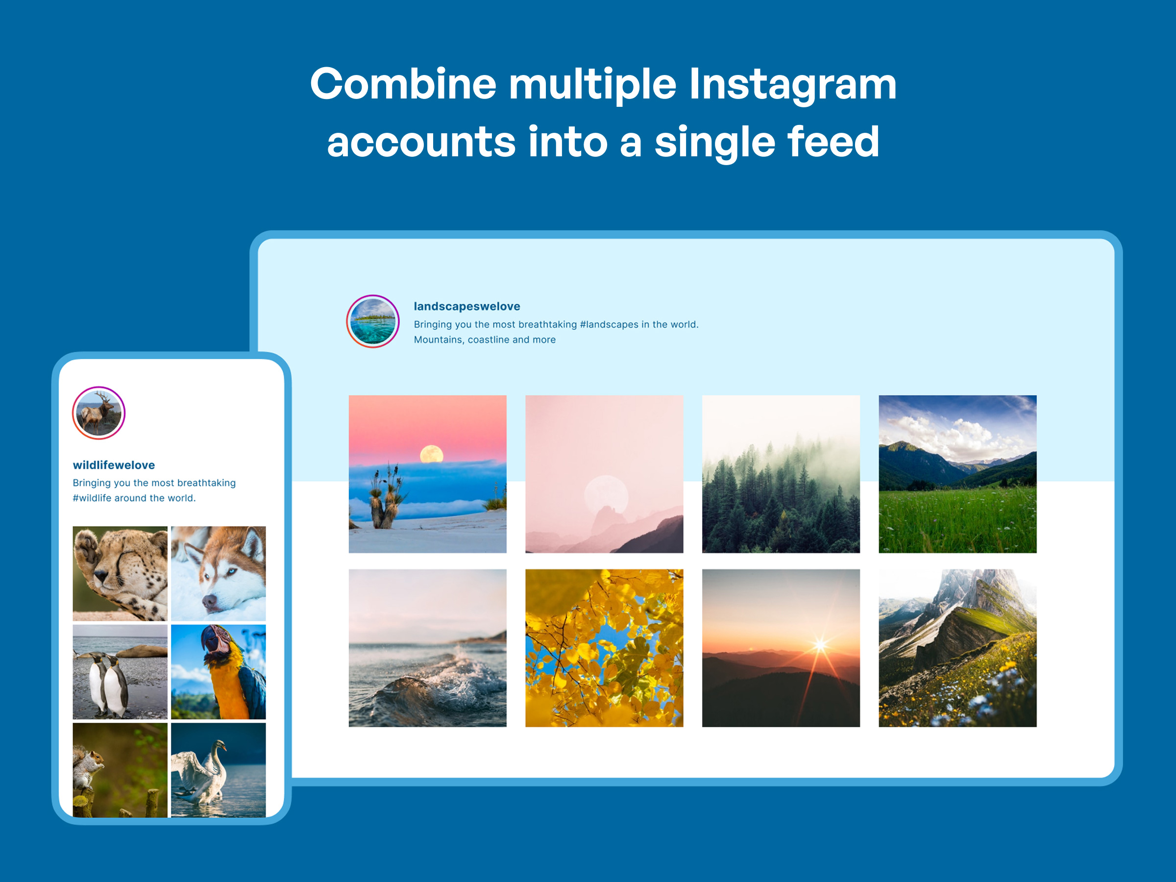 Exibe facilmente feeds de qualquer uma de suas contas do Instagram