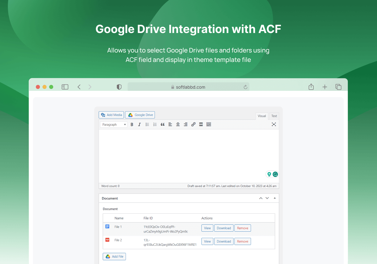 Google Drive Integration with ACF