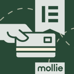 Integration for Elementor forms – Mollie