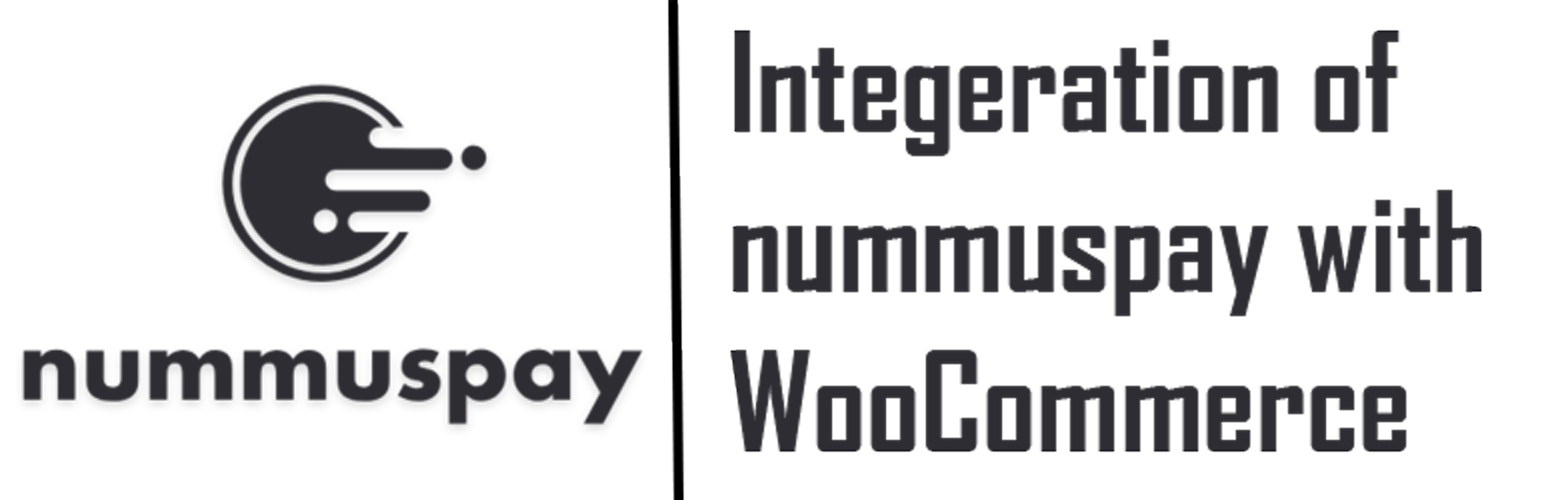 Integrartion for Nummuspay