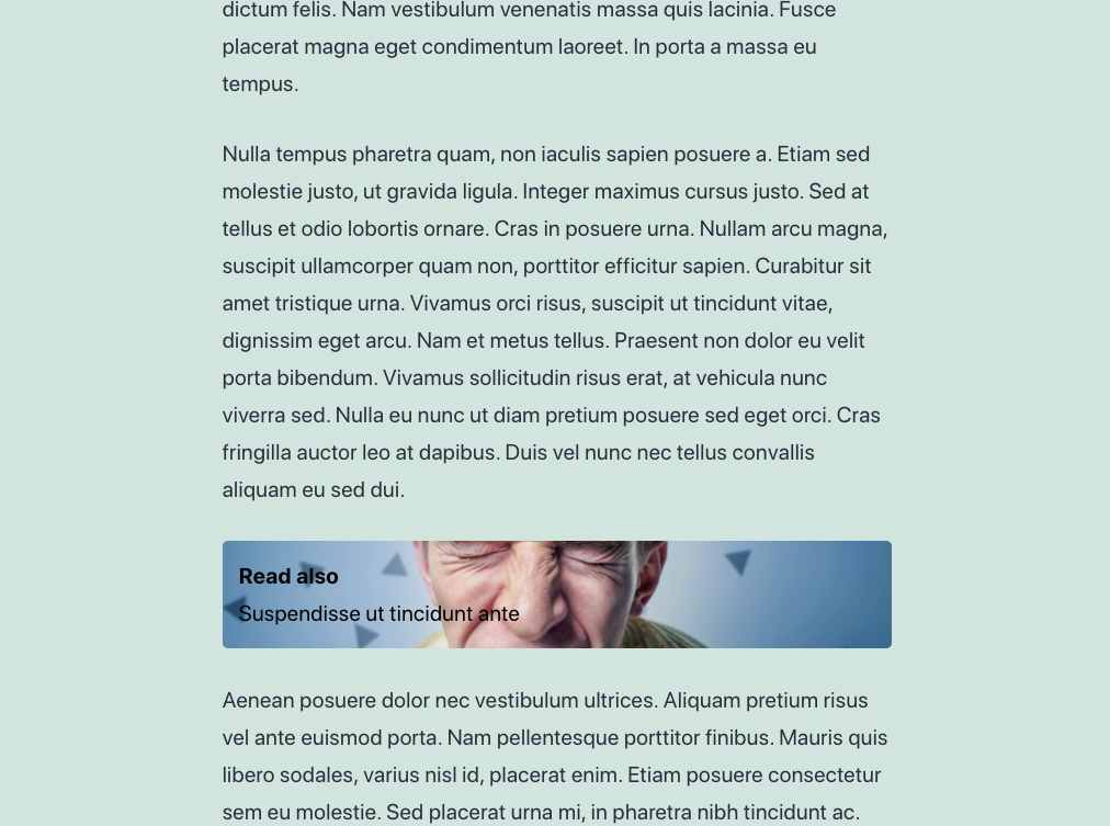 Template 5 (Premium)