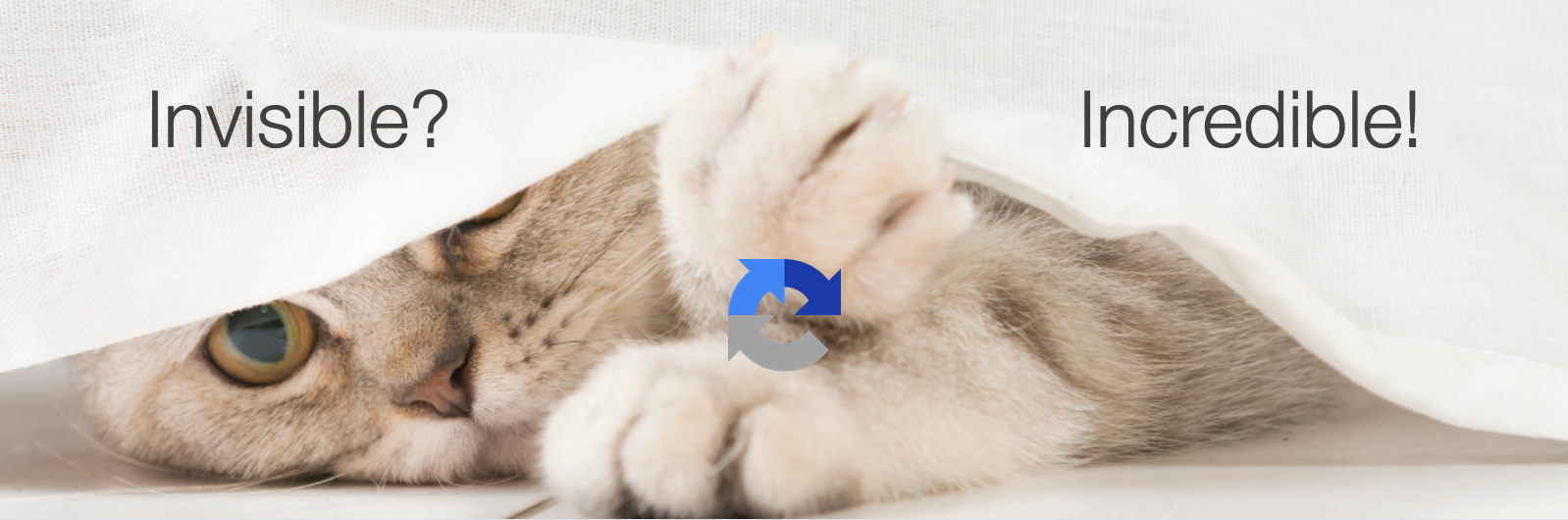invisible-recaptcha