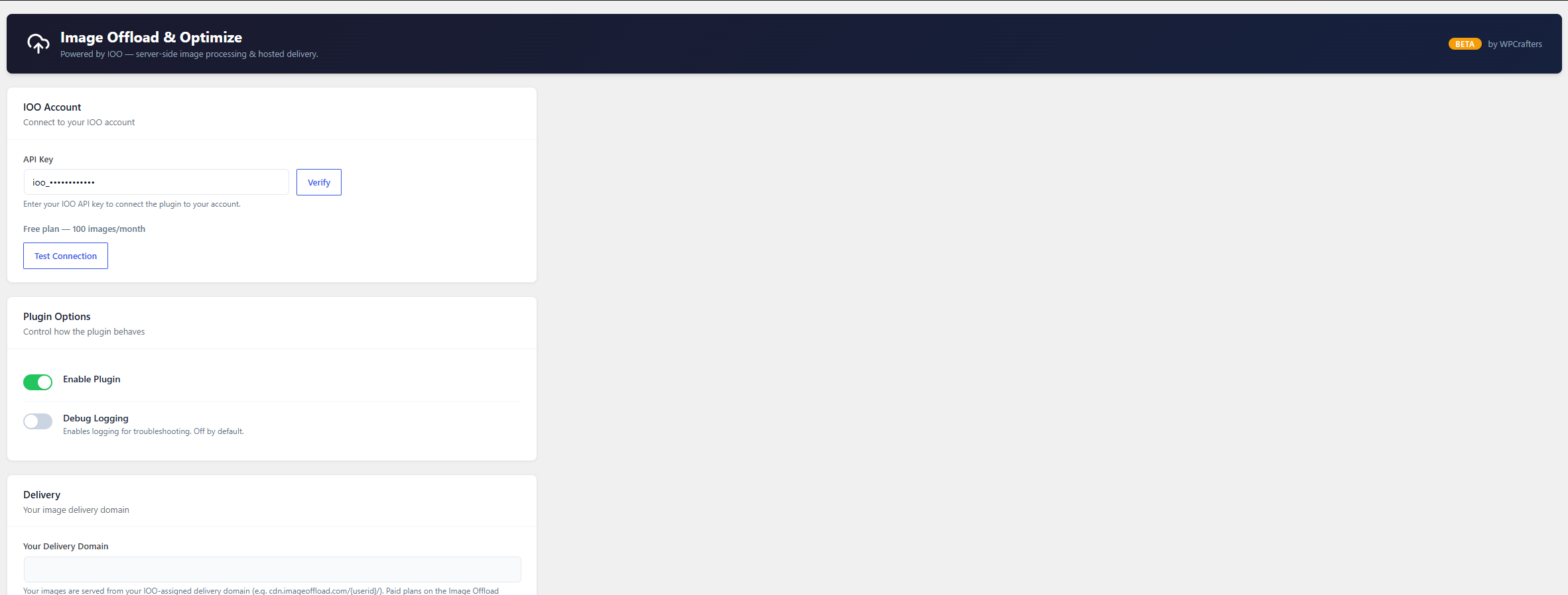 Settings — connect the hosted service with your API key