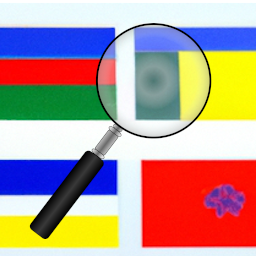 Ipgp User Country Flag logo