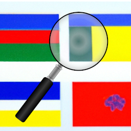 Ipgp User Country Flag