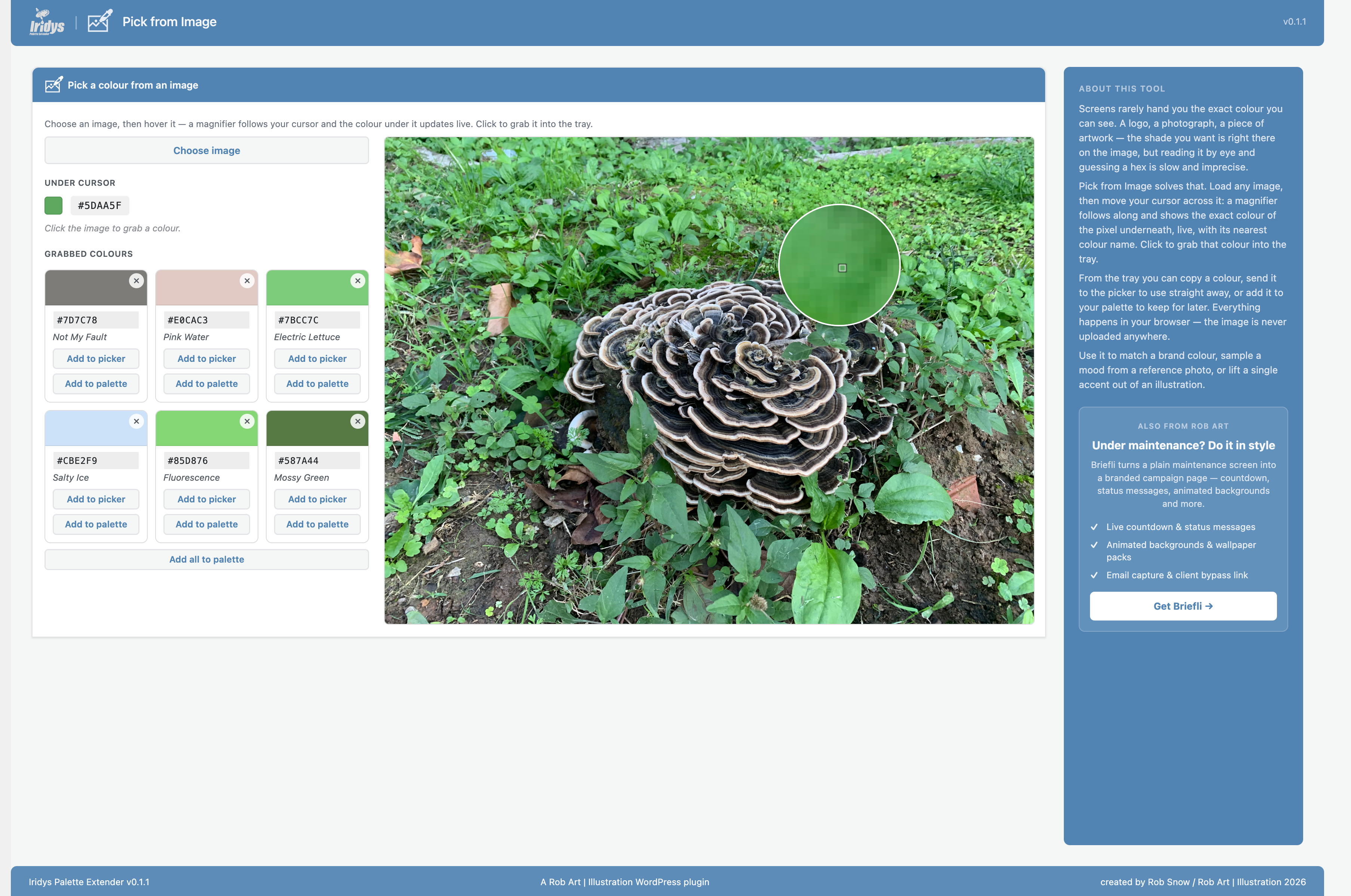 Pick from Image — hover for a live magnifier and colour read-out, click to grab.