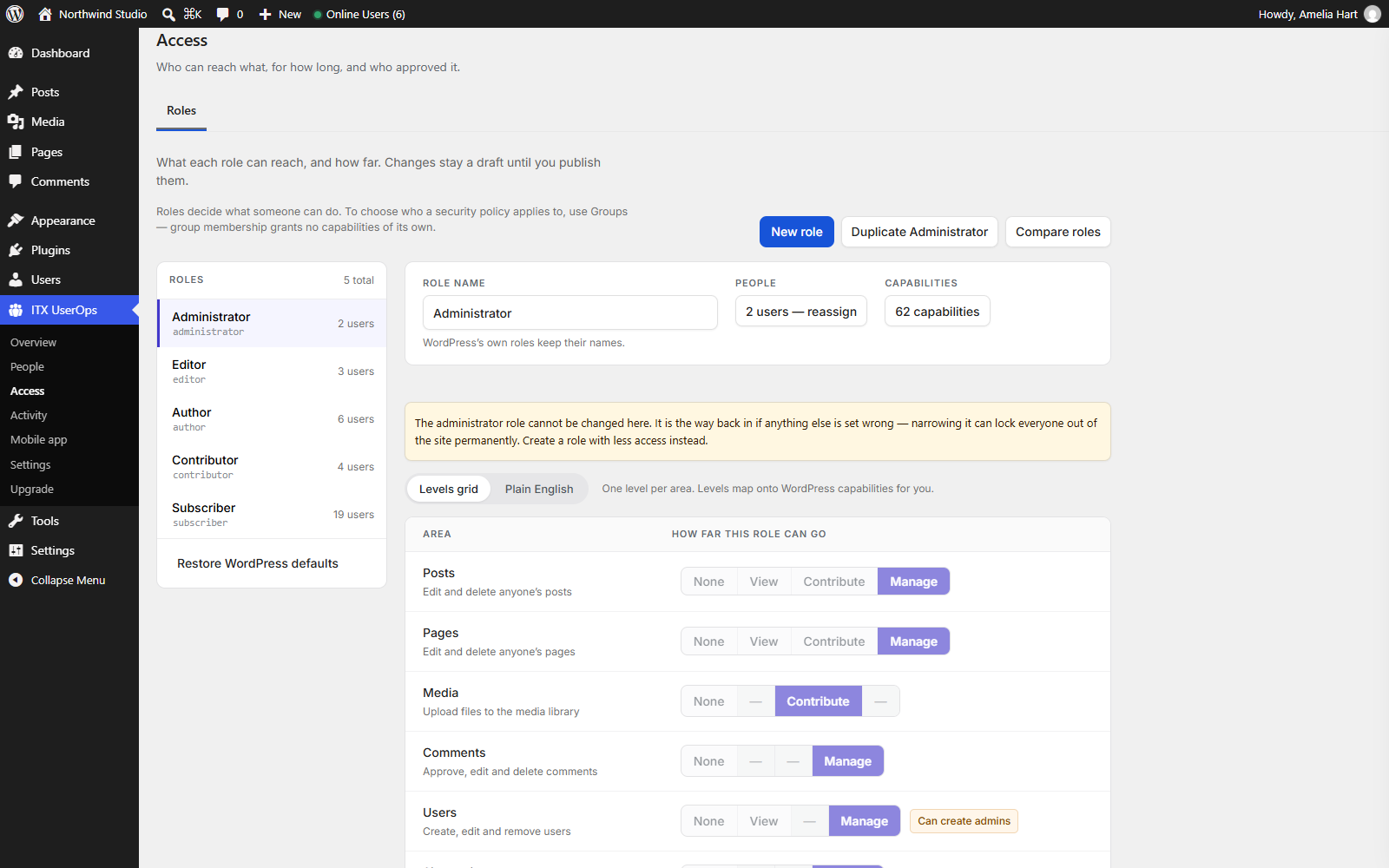 The role editor — areas and levels instead of sixty raw capabilities