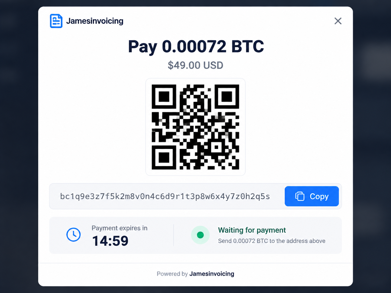 Hosted invoice with QR code, copyable address and countdown.